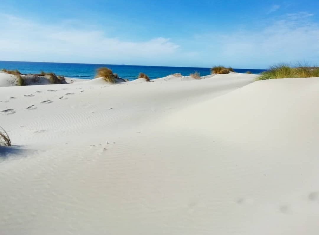 Dune bianche, is arenas biancas, Porto pino, Sardegna